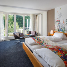 Hotel Heiden - Wellness am Bodensee, Heiden — photo 2