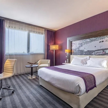 Holiday Inn Toulouse Airport, 布拉尼亚克 — 照片 2
