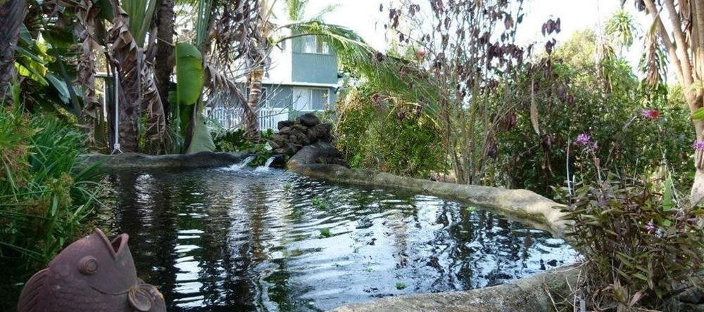 The Rainbow Plantation Bed and Breakfast, 库克船长 — 照片 1