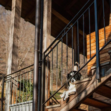 Polisena L'Altro Agriturismo, 蓬蒂达 — 照片 4
