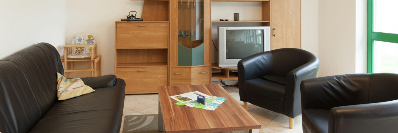Modern Apartment in Reinhardtsdorf-Schona near Ski Slopes, 赖因哈茨多夫舍纳 — 照片 1