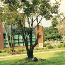 Aewol Zapari House, Чеджу — фото 5