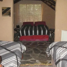Nobene Lodge, Acornhoek — photo 2