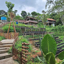 Menoreh Farm Stay Samigaluh Kulonprogo, 帕格尔哈乔 — 照片 4