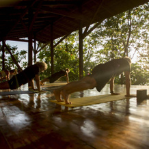 Tiskita Jungle Lodge, Punta Banco — photo 4