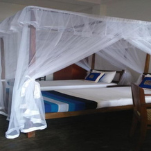 Asiri Yoga Retreat, Owakanda — photo 3