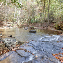 Forest-View Gem On Vaughn Creek < 1 Mi To Dtwn!, Трайон — фото 3