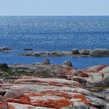 Suntrap Cove Bicheno, Бичено — фото 3