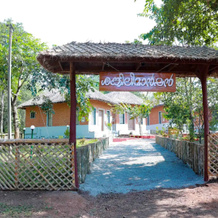 Arippa Eco Tourism-Stay Inside Forest, Punalur — photo 4