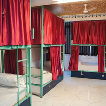 Hostel Funky Bunky, Удаипур — фото 3