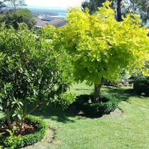 Jervis Bay Blue - Vincentia, 文森扎 — 照片 3