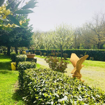 Agriturismo Pianezze, 格罗特迪卡斯特罗 — 照片 4