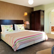 Quinta da Palmeira - Country House Retreat & Spa, 阿尔加尼尔 — 照片 4