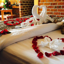 Hotel y Cabañas Alan Prince, 奇格纳瓦潘 — 照片 3