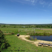 Freeland Farmhouse Stables, Сторрингтон — фото 5
