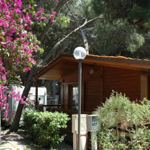 Camping Pionier Etrusco, 蒙塔尔托-迪卡斯特罗 — 照片 3