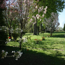 Château du Clos Mortier, 圣迪济耶 — 照片 3