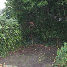 Holiday Home Townhouse, 武尔登 — 照片 4
