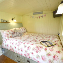 Two Hoots Campsite, Alton — photo 5