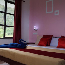Grace Inn Munnar Homestay, Муннар — фото 2