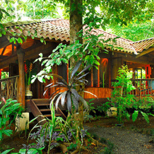 Playa Nicuesa Rainforest Eco Sanctuary, 戈尔菲托 — 照片 2