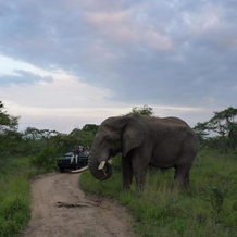 Serondella Game Lodge, 胡德斯普雷特 — 照片 5