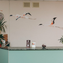 Flamingo  Guest House, 柳季诺沃 — 照片 2