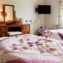 Tyn Y Wern Guest Accommodation, Лланголлен — фото 5