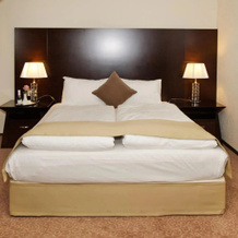 Grand Palace Hotel Hannover, Ганновер — фото 3