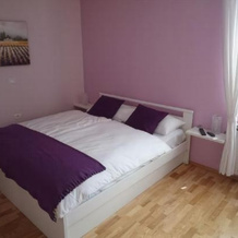 Guesthouse Pri Mihelovih, Sezana — photo 3