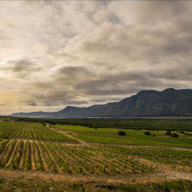 Springfontein Sleeps, Стэнфорд — фото 5