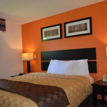 Enfirld Inn And Suites Bradley Airport, Энфилд — фото 3