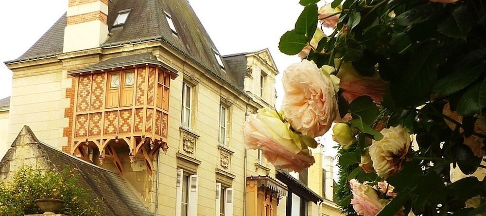 Chinon La Belle, 希农 — 照片 1
