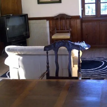 Domaine de Pemejot, Sainte-Foy-de-Belves — photo 3