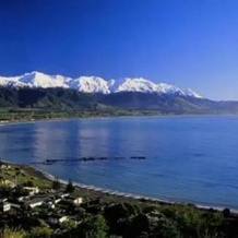 Miharotia House Boutique Bed & Breakfast, 凯库拉 — 照片 3