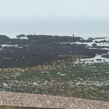 Les Mouettes, a Moins de 50 Metres de la Plage, 滨海沃莱特 — 照片 5