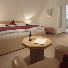 Romantik Hotel Neuhaus, 伊瑟隆 — 照片 3
