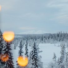 Lövåsgårdens Fjällhotell, Идре — фото 3