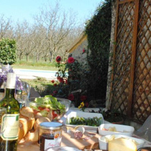 The French Country Cottage - Les Chouettes, 特雷莫拉 — 照片 2