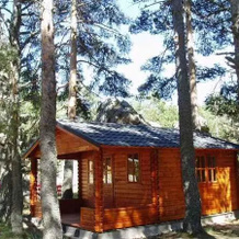 Camping Las Corralizas, Брончалес — фото 4